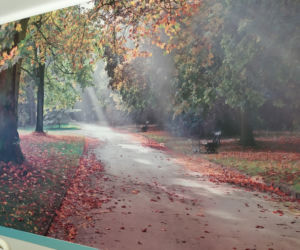 ZOL- nowy oddział starachowickiego szpital