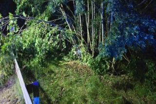 Uderzył w drzewo, 30-letni motocyklista zginął na miejscu