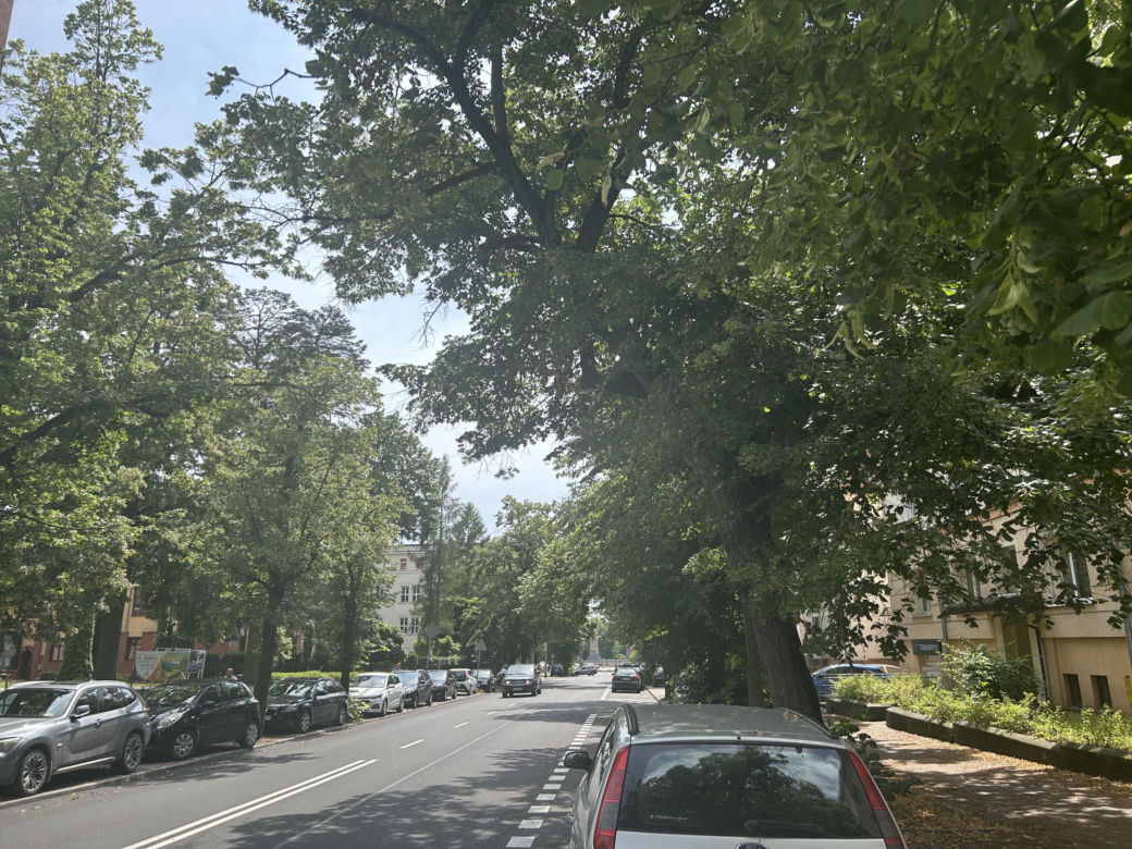 Zmiany na Kopernika. Kierowcy parkują na jezdni