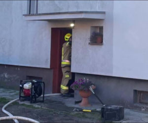 Pożar i kłęby dymu w budynku. Strażacy wynieśli dwie butle z gazem! [ZDJĘCIA]