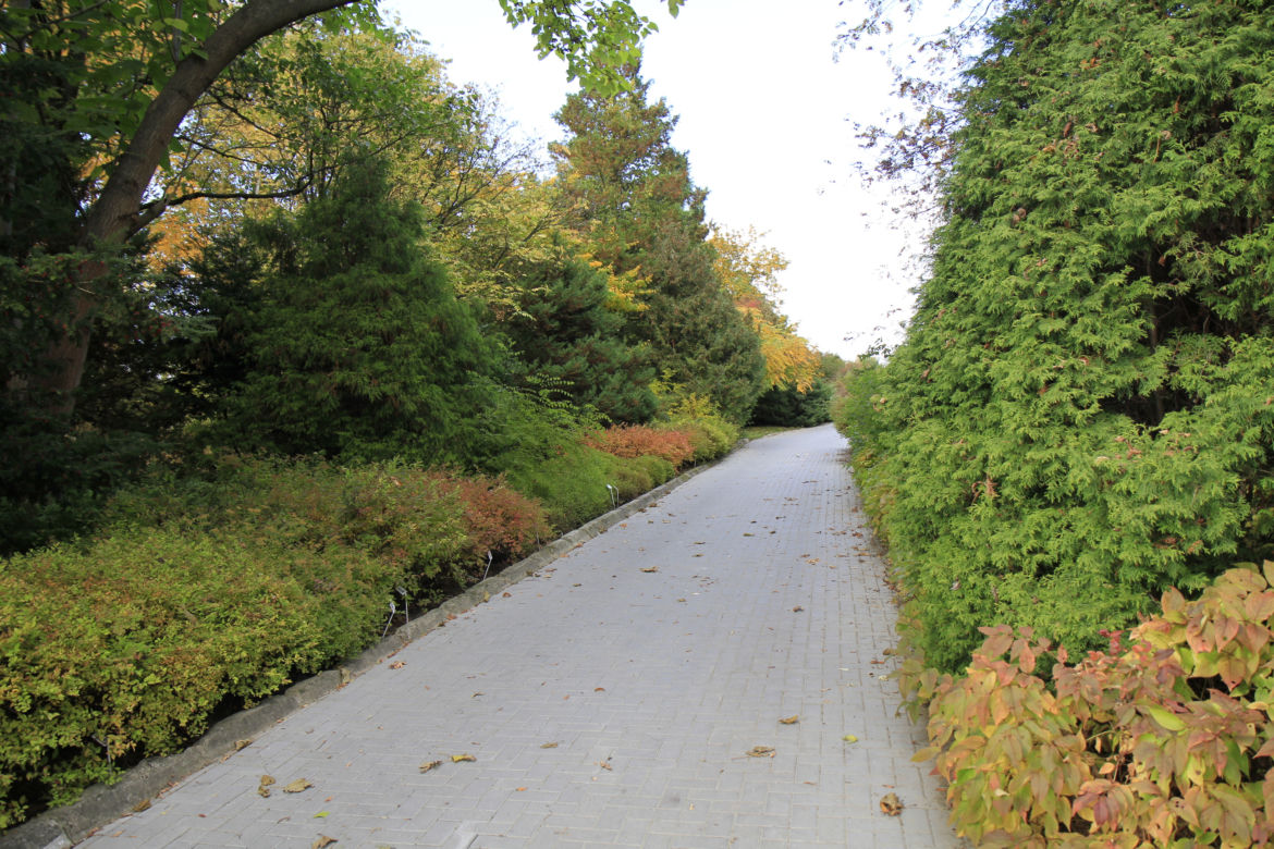 Spacer po jesiennych Ogrodzie Botanicznym w Lublinie