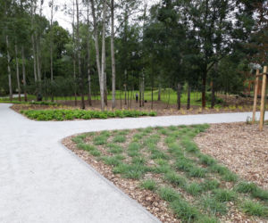 Nowy park w Lesznie gotowy, niedługo będzie otwarty