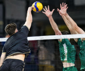Ekstraklasa siatkarzy. Skra Bełchatów bez szans w starciu z Aluronem