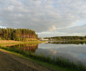 Bliżyn