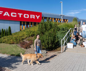 Jungle Night w FACTORY Kraków. Jesienne rabaty -50% przez 12 godzin