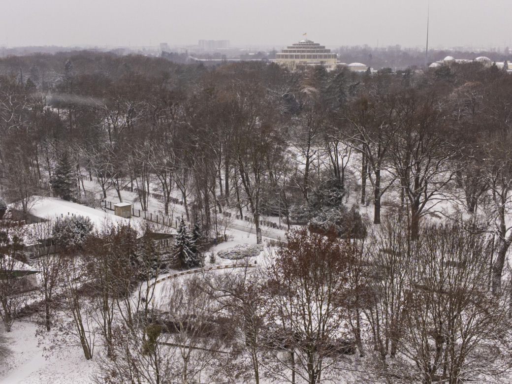 Pierwszy, większy śnieg w mieście. Zaczęła padać 11 grudnia  