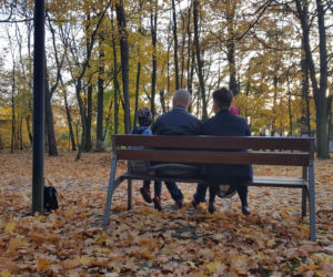 Park 1000-lecia w Lesznie na chwilę przed zachodem słońca
