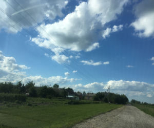 Wzięła na siebie winę męża. Tajemnicze postrzelenie czterolatki pod Rykami