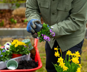 Murator Ogroduje, realizacje