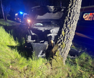 Uderzył autem w drzewo. Chciał uniknąć zderzenia z sarną