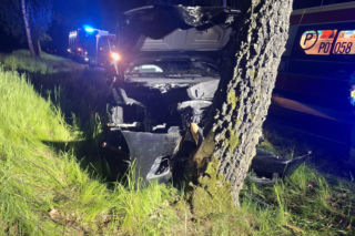Kościaniak uderzył autem w drzewo. Chciał uniknąć zderzenia z sarną [ZDJĘCIA]