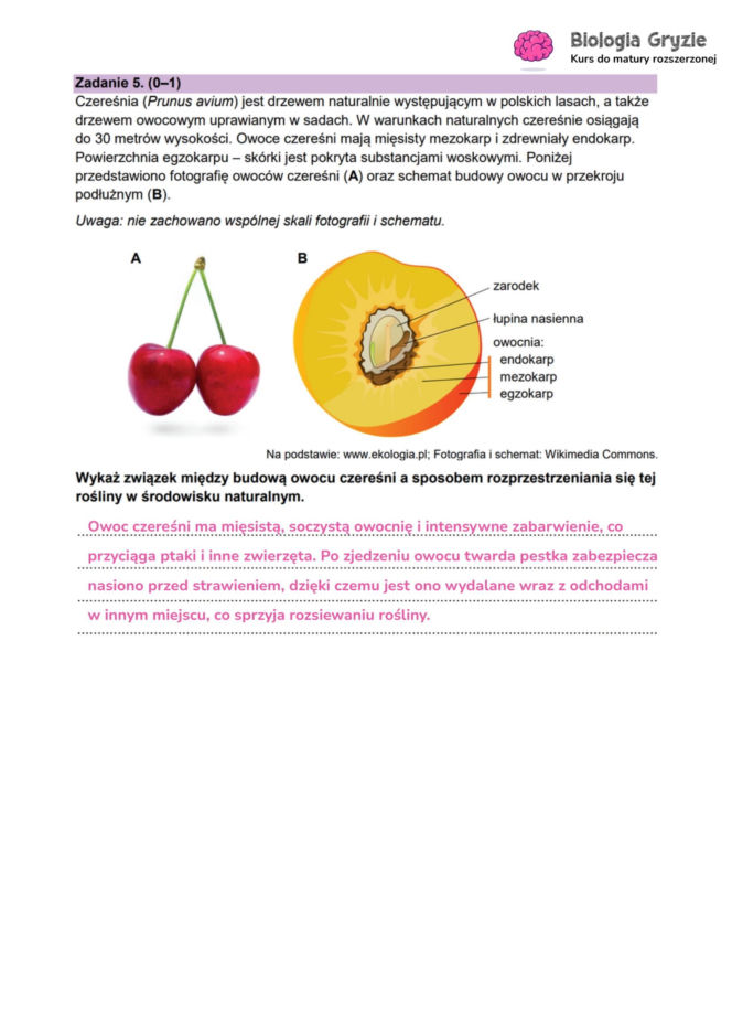 Matura próbna 2026 - biologia. Wszystkie odpowiedzi do arkusza CKE z biologii 14.01.2026