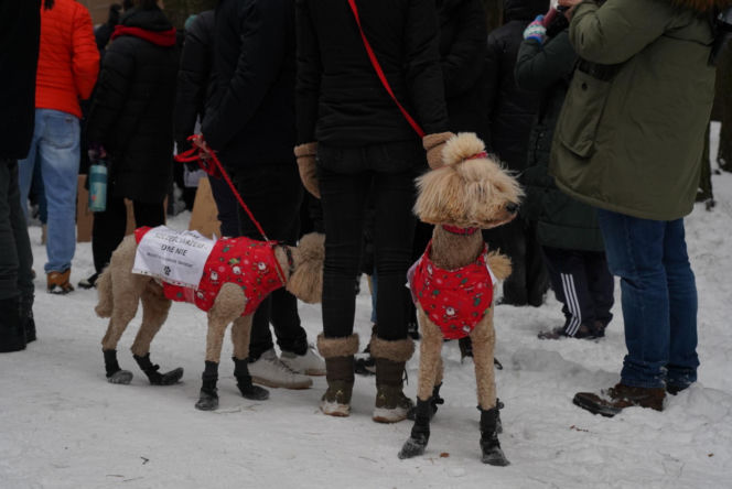 Schronisko dla psów w Sobolewie zamknięte. Jeszcze w sobotę, 24 stycznia, protestowali pod nim mieszkańcy [ZDJĘCIA].