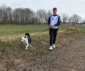 Przybyło psów w schronisku w Henrykowie koło Leszna. Ilość zatrważająca