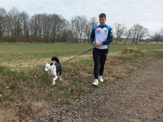 Przybyło psów w schronisku w Henrykowie koło Leszna. "Ilość zatrważająca"