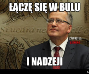 Powyborcze memy