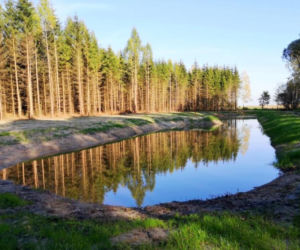 Nowe zbiorniki wodne w podlaskich lasach. Pomogą walczyć ze zmianami klimatu [ZDJĘCIA]