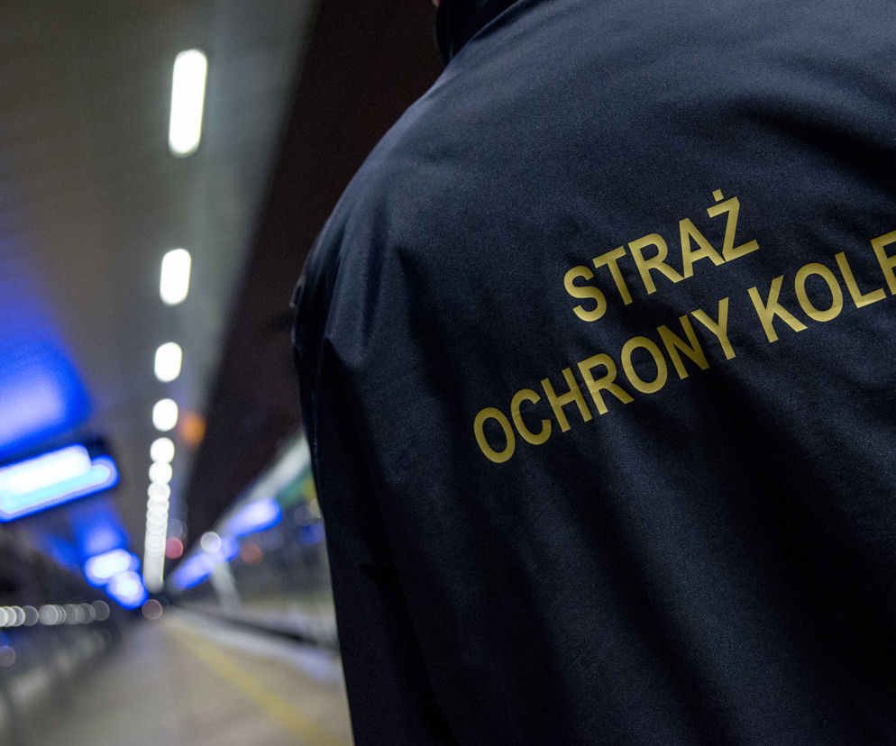 AWANTURA na stacji Poznań Główny. AGRESYWNY 21-latek wyprowadził cios i...