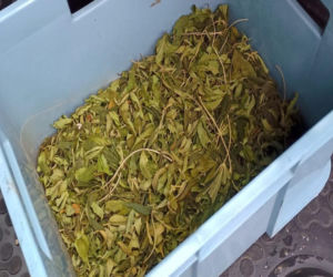 Grójec: Kryminalni znaleźli nielegalny arsenał. Szokujące odkrycie policjantów