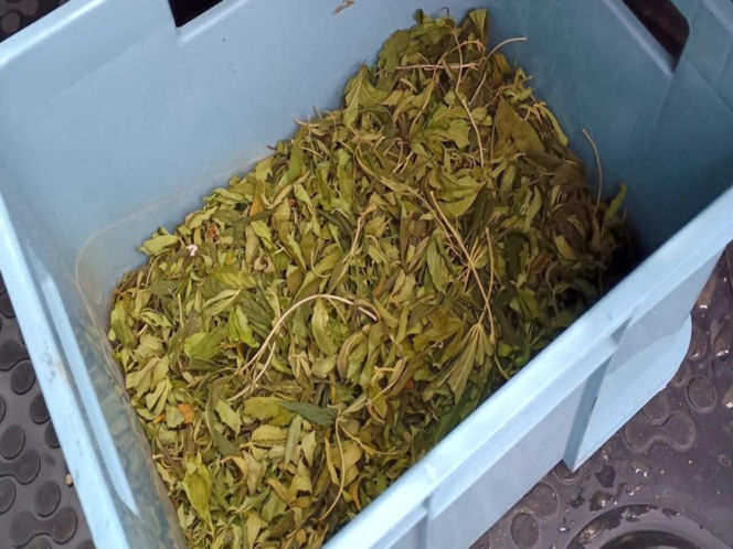 Grójec: Kryminalni znaleźli nielegalny arsenał. Szokujące odkrycie policjantów