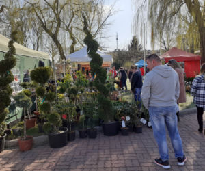 Fotorelacja z wydarzenia Wiosna na polu i w ogrodzie w Siedlcach w 2022 roku
