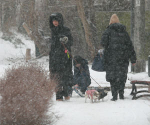 Marta Kaczyńska z synem i psami na sankach w lesie