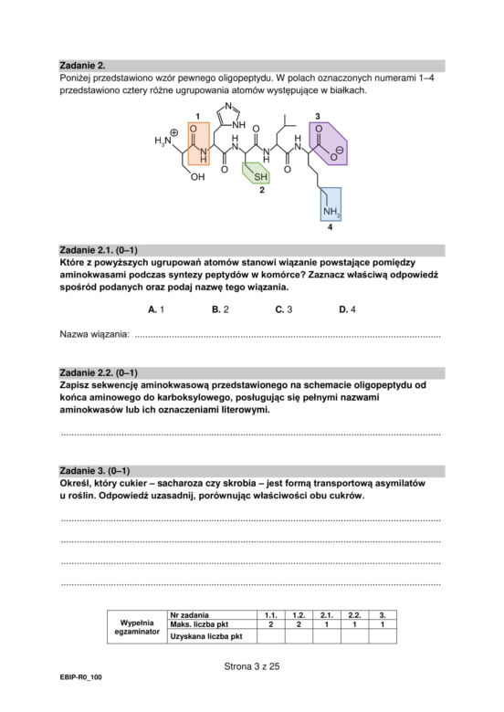 Matura 2022: biologia rozszerzona. Arkusze CKE, zadania, pytania. Poziom rozszerzony