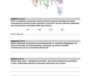 Matura 2022: biologia rozszerzona. Arkusze CKE, zadania, pytania. Poziom rozszerzony