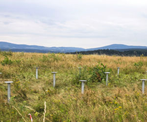 Biodomek, modułowy, mobilny dom 4
