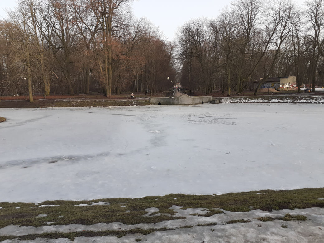 Siedleckie szkoły przy ul. Konarskiego i Prusa i ich okolica w lutym 2021 roku
