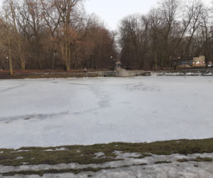 Siedleckie szkoły przy ul. Konarskiego i Prusa i ich okolica w lutym 2021 roku
