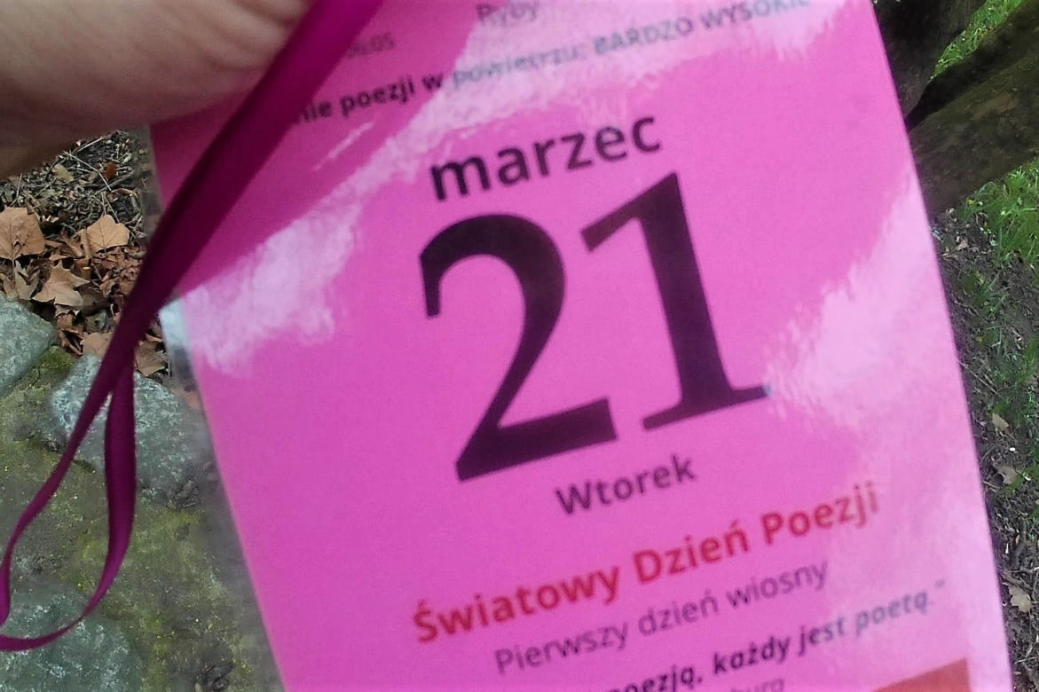 Światowy Dzień Poezji w Szczecinie