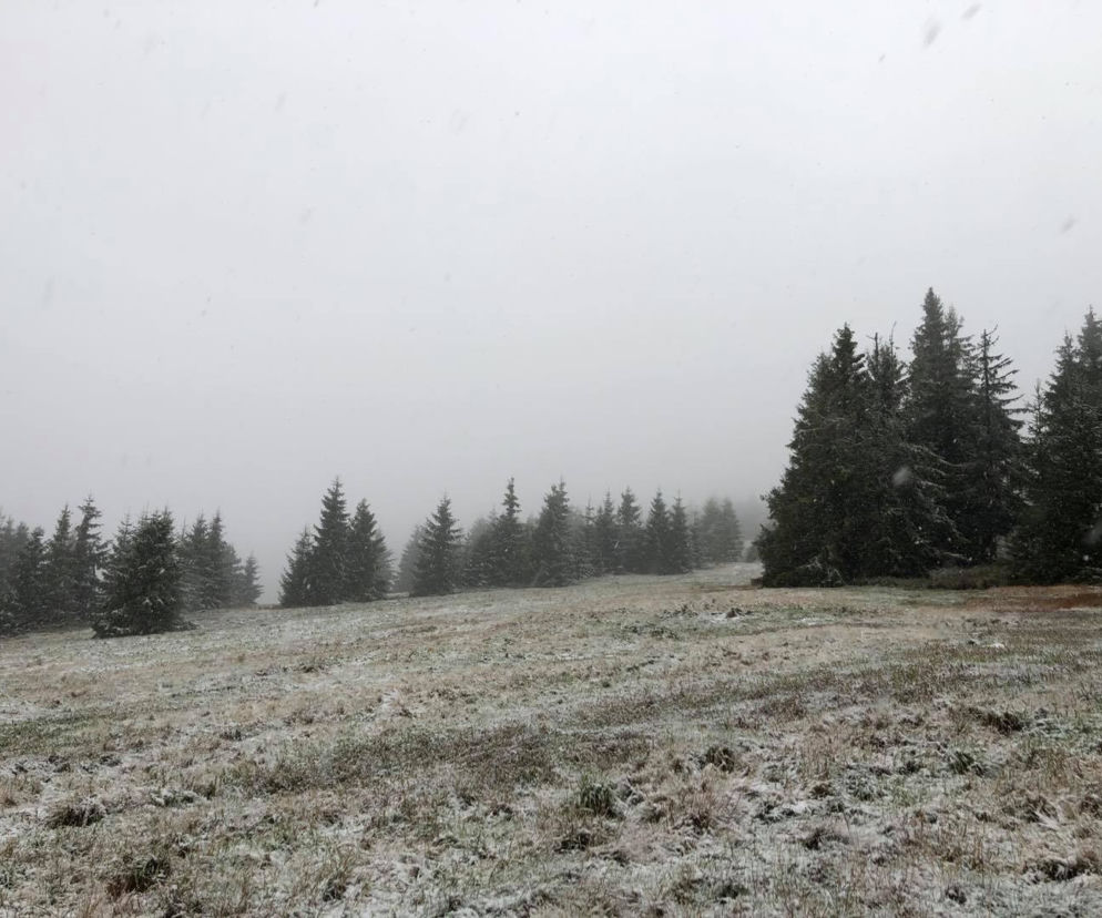 W województwie śląskim spadł pierwszy śnieg! Biały puch pojawił się w Beskidach 