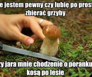 Trwa sezon na grzyby! Oto najlepsze memy o grzybiarzach!