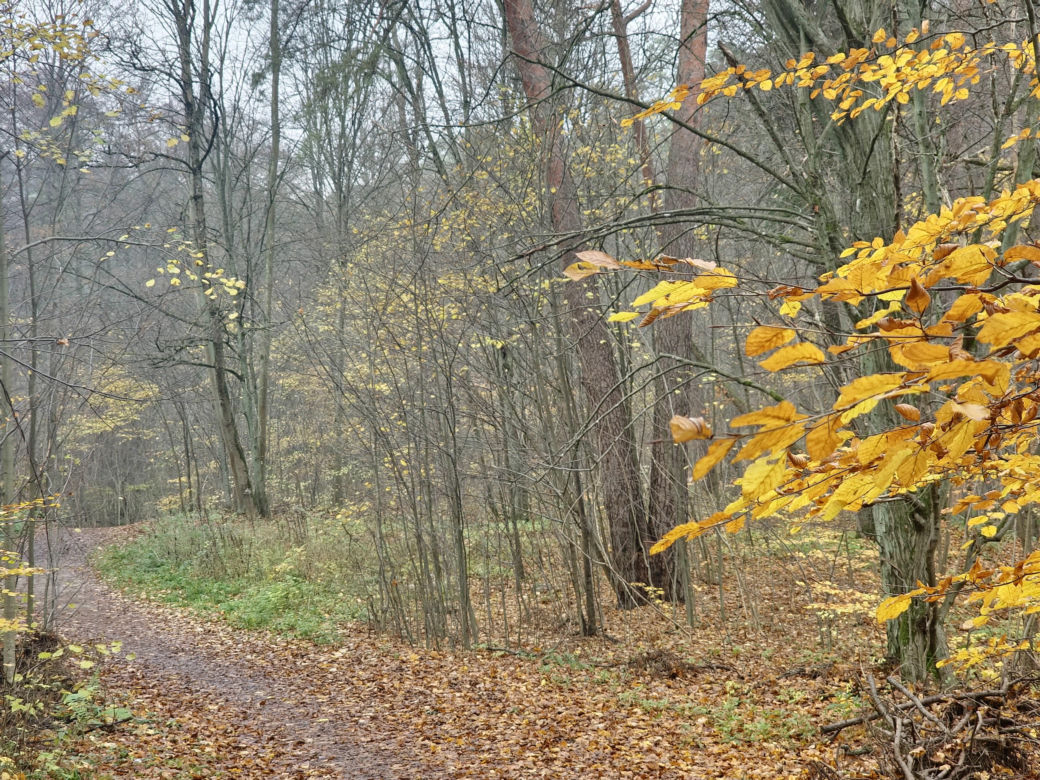   Łynostrada zachwyca o tej porze roku. Zobacz, jak prezentuje się jesienią [ZDJĘCIA]
