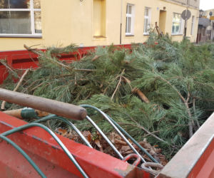 Za nieco ponad miesiąc wiosna! Na skwerach w Lesznie zaczęły się już pozimowe porządki