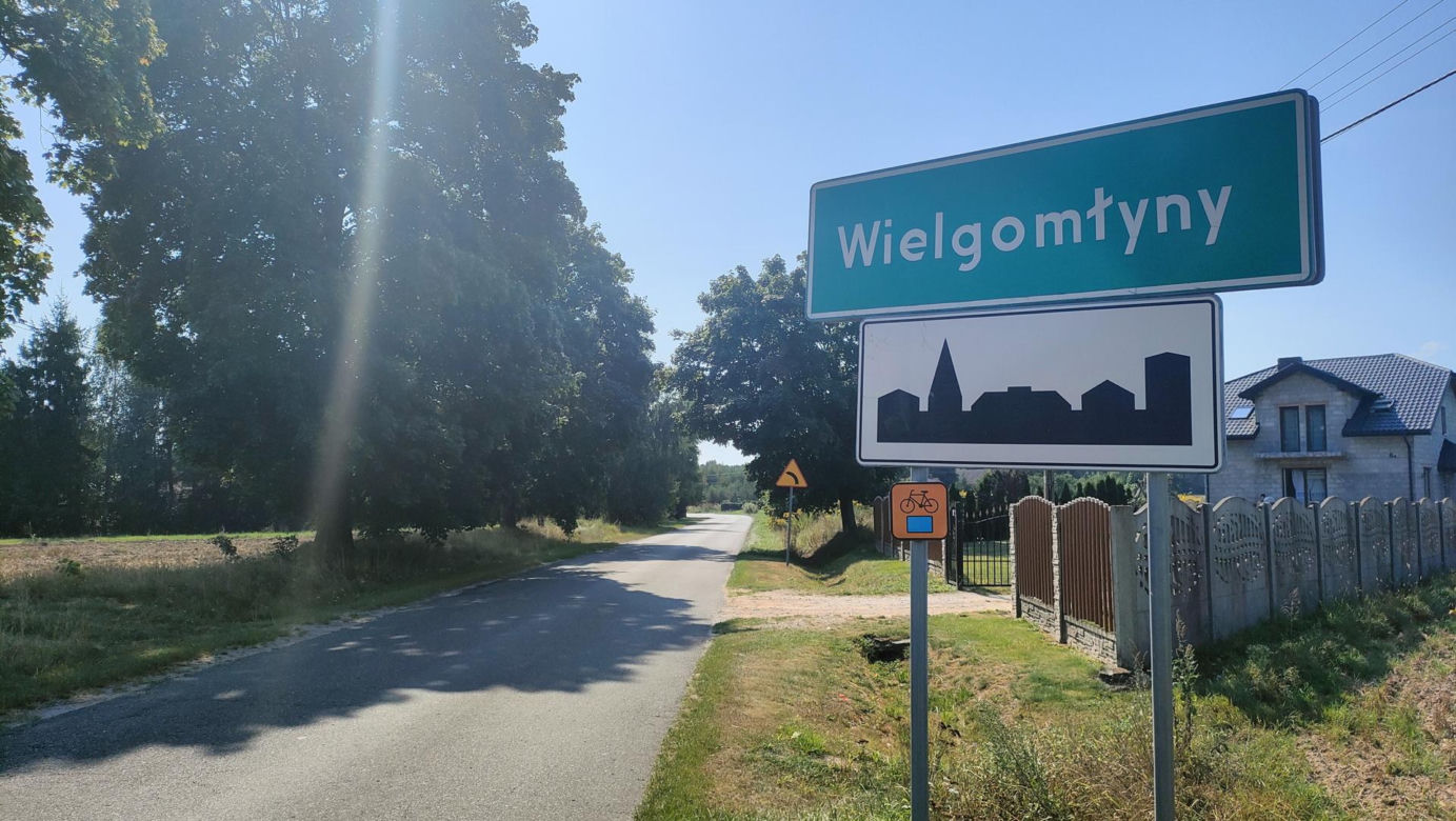 Wielgomłyny
