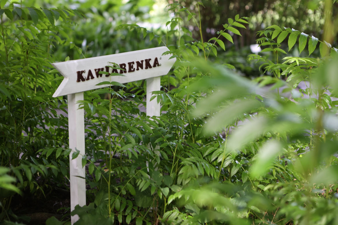Kwitnący Ogród Botaniczny UMCS w Lublinie