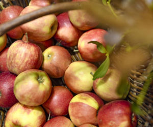 Chłopki - premiera spektaklu