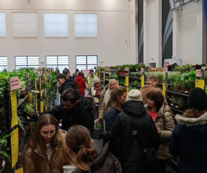 Festiwal Roślin w Enea Arenie