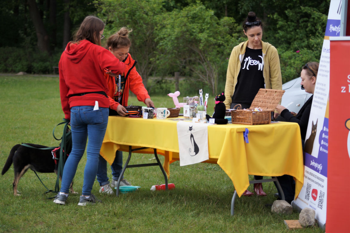 Piknik Dobrych Psów i Ludzi w Myślęcinku [ZDJĘCIA]