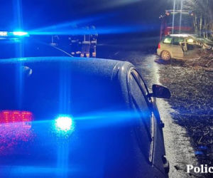 Kompletnie pijany mężczyzna wiózł ciężarną partnerkę. Samochód uderzył w drzewo