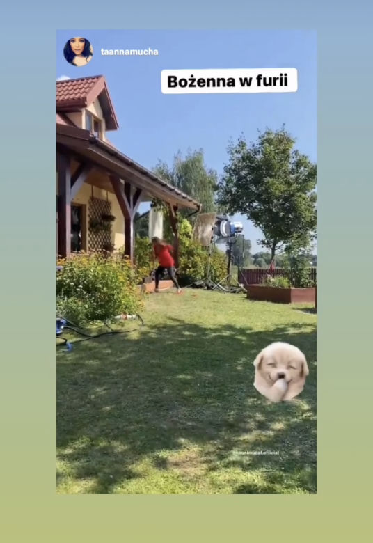 Anna Mucha w furii. Rzuca roślinami i donicą 