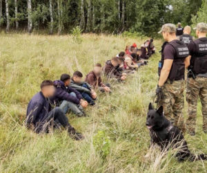 Szturm na granicy! Podlascy pogranicznicy zatrzymują duże grupy imigrantów [ZDJĘCIA]