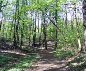 Bieganie w Warszawie: 10 najlepszych tras na poranny jogging [GALERIA]