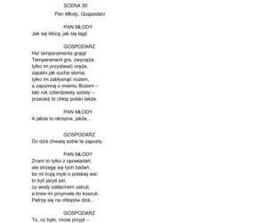 Próbna matura 2026: polski. Arkusze CKE, pytania i odpowiedzi z języka polskiego [4.03.2026]