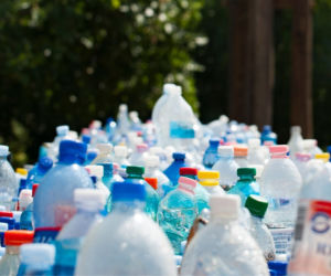 Genialny butelkomat Polaka