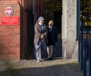 Pierwsza miłość, Julka (Łucja Kawczak), Dominika (Aneta Zając)