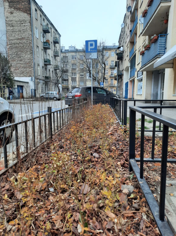 Tak zmienia się Praga-Północ