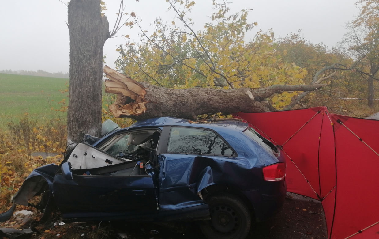Tragiczny wypadek na drodze Mądrzechowo – Ząbinowice. 18-latka nie żyje [22.10.2022]